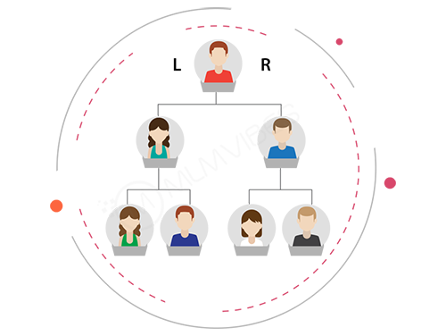 Binary Plan Demo