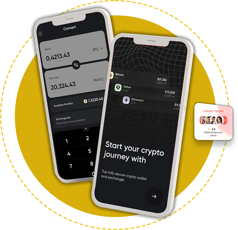 Crypto Wallet Illustration